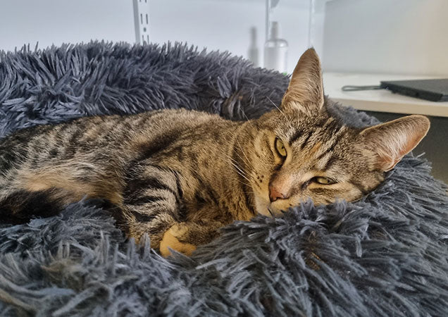 Review by Jennifer M